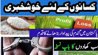 dap Subsidy new update 2024| overall Agriculture subsidy funds update, punjab, Agriculture