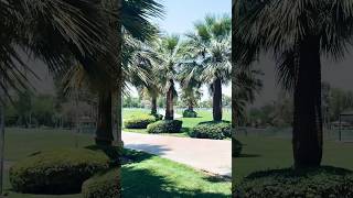 Refreshing Nature in King Khalid Park #shortsfeed #travel #shortsvideo #minivlog #travel #minivlog