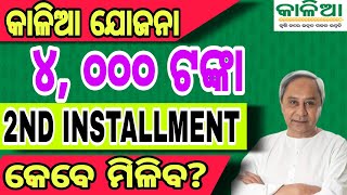 Kalia Yojana 2nd Installment Date। କାଳିଆ ଯୋଜନାର  ଦ୍ବିତୀୟ କିସ୍ତି ଏହି ଦିନ ମିଳିବ।