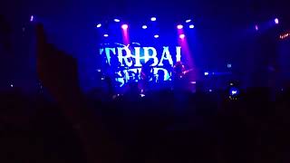 In your EyEs Tribal Seeds live 2016