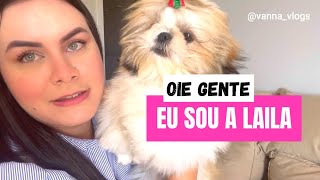 FAMILIA CRESCEU, ganhei uma Shih Tzu.. Primeiro mês com ela, o que precisei comprar? | VANNA VLOGS