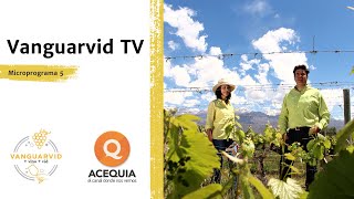 5° programa Vanguarvid en Canal Acequia