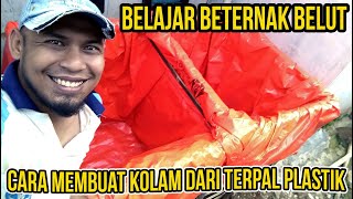 Cara Buat Kolam Terpal Untuk Belut. Kolam Pemijahan Belut Sawah.