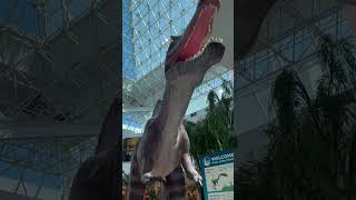 #dinosaur #roar #giant #trex #viral #beta #trending #toddlers #funday #mall @jashow1766