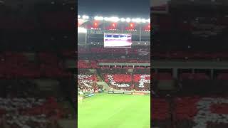 Torcida do flamengo lotando o maracanã