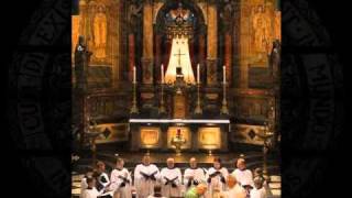 Tomás Luis de Victoria - Alma redemtoris Mater - Cappella Nicolai