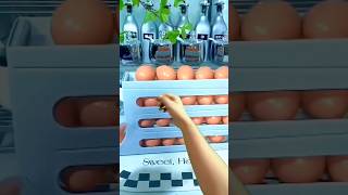 Porta Ovos com capacidade para 30 eggs! #egg #fe #ovo #ovos #barato #viral #creio #agua