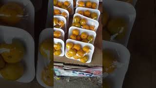 DIJAMIN JOSS!! JUAL BUAH JERUK SANTANG RP 10 RIBU PER PAKET IMPORT DI BALARAJA TANGERANG!!