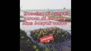 Keseruan mancing dapat ikan banyak