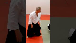 Aikido in slow motion: KOKYUHO (SOKUMEN IRIMINAGE), by Stefan Stenudd