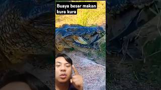 Emang bisa hewan itu dimakan? #crocodile #alligator #crocodille