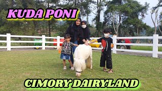 KUDA PONI DI CIMORY DAIRYLAND