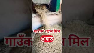 In the Rice Mill Of Village #shortvideo #youtubeshorts #youtube