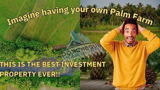 PALM FARM LAYOUT | THE OPPORTUNITY TO INVEST IN AGRICULTURE IS HERE