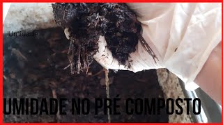 #Presença de Mercaptanos no pré composto! qual a causa?