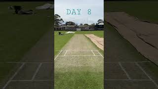 SUBSCRIBE TO SEE HOW! 🏏 #youtubeshorts #cricket #sports #grass #asmr #india #shorts #transformation