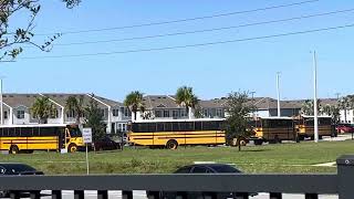 PCPS School Buses lined up at Bella Citta