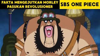 Fakta Mengejutkan Morley Komandan Pasukan Revolusioner ( SBS One Piece )