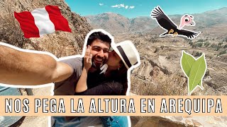 VLOG PERÚ #2  PROBAMOS COCA 🤢😂Y SUFRIMOS LA ALTURA EN AREQUIPA | Belbooks 📚