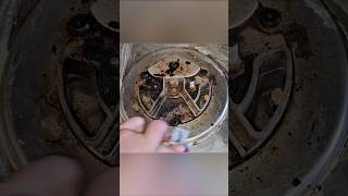 Scrubbing A Stove