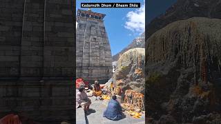 Kedarnath Yatra 2024 || केदारनाथ धाम - भीम शिला #youtubeshorts #mahadev #trending #shiv #mahakal