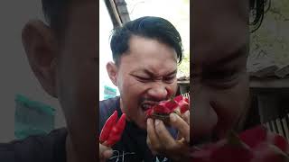 #shorts Makan buah naga pake cabe rawit