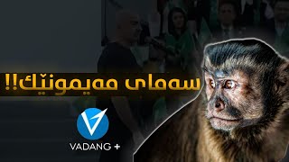 سەمایی مەیمونێك !!