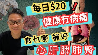 一種神仙草藥，補好心肝脾肺腎！提升免疫力和抗病的能力。提升睡眠質素。# 天然野生靈芝 #失眠