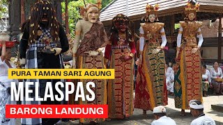 MELASPAS BARONG LANDUNG DI PURA TAMAN SARI AGUNG