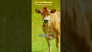 How Sikh Protects Cow 🐄 in India J Sai Deepak | #cow #sikhism #history #knowledge #jsaideepak