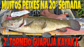 Robalo, Traíra, Tucunaré, Garoupa 20° Semana do 2° Torneio GKF, Loja Casa do Pescador