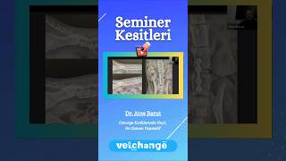 E-Seminer Kesitleri - Dr. Ateş Barut #cats #veterinary #veterinerhekim #keşfet #veterinercerrahi