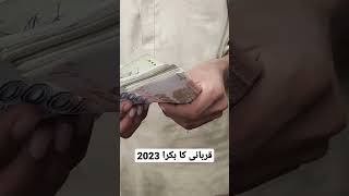 Mandi lahore/Soda final/Qurbani 2023 rate