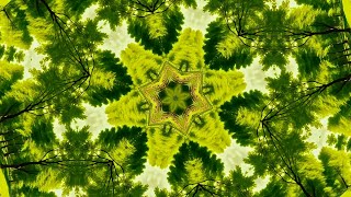 Kaleidoscope Soothing Visuals (Ambient Music) - Relaxing Dreamscape Ambience [ Relax Your Mind ]