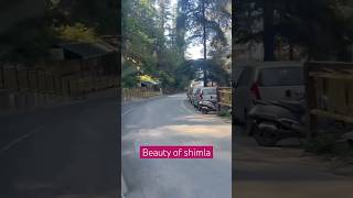 Road tirp shimla#himachalpardesh #shimlatour #dewbhumi #hindisong#beautifulnature #viralshort #song