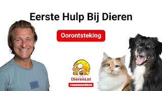 Hoe controleer je op een oorontsteking bij je huisdier?