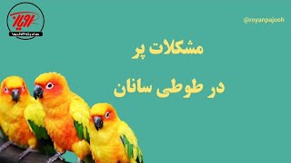 مشکلات پر در طوطی سانان