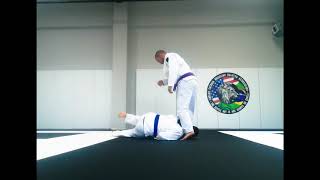 Scramble Judo Lazer Lion Cut!