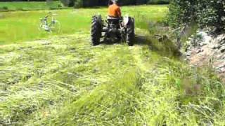 Mowing hay with Ferguson