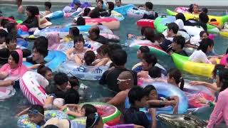 WAVE POOL JAPAN