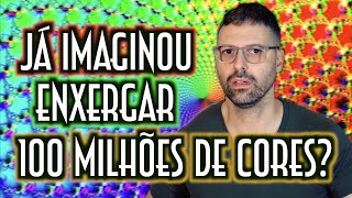 Já imaginou enxergar 100 milhões de cores? - Emerson Martins Video Blog 2022