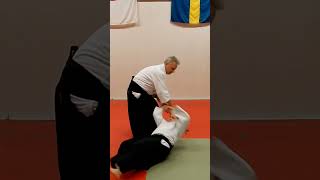 Aikido TANTO DORI, knife defense, chudan tsuki KOTEGAESHI, by Stefan Stenudd