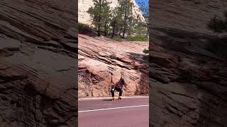 Roller skating in Zion National Park ⛰️🛼✨ #rollerskating #zionnationalpark #skatelife #summervibes