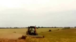 машинно скубане на бял боб, mechanical plucking of white beans with Deutz-Fahr M640 and FUERTES