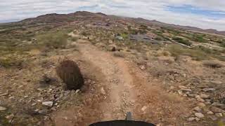 West Wing trails Sunrise Saguaro loop