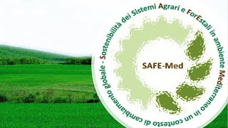 SAFE-Med WP3 - Sostenibilità delle filiere agro-energetiche