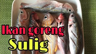 Ikan goreng sulig