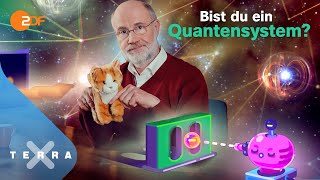 Wie funktioniert Quantenmechanik? Quantenphysik erklärt Teil 2 | Harald Lesch | Terra X Lesch & Co