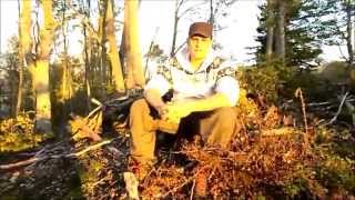 Bivouac Bushcraft L'Amour Aux Sagnas