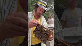 Techniques for grabbing queen honey bees with Sam Comfort. Full video on our channel! #newbees